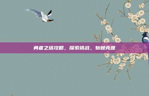 勇者之塔攻略，探索挑战，斩棘克难