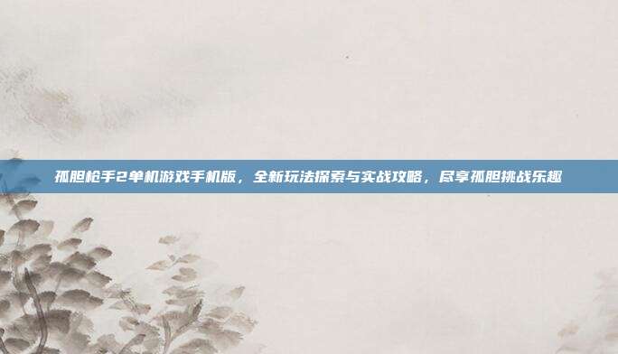 孤胆枪手2单机游戏手机版,全新玩法探索与实战攻略,尽享孤胆挑战乐趣