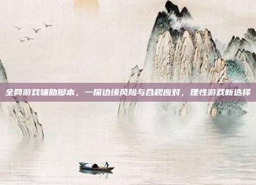 全网游戏辅助脚本,一探边缘风险与合规应对,理性游戏新选择