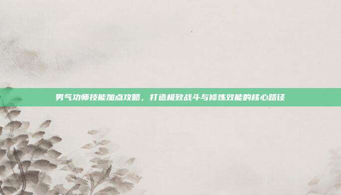 男气功师技能加点攻略,打造极致战斗与修炼效能的核心路径