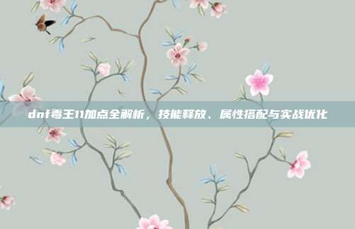 dnf毒王11加点全解析,技能释放、属性搭配与实战优化