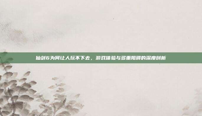 仙剑6为何让人玩不下去,游戏体验与多重阻碍的深度剖析
