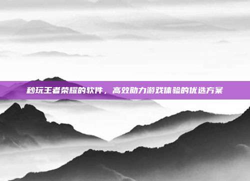 秒玩王者荣耀的软件,高效助力游戏体验的优选方案
