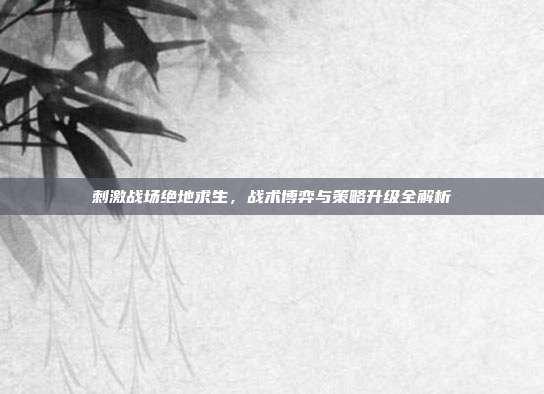 刺激战场绝地求生,战术博弈与策略升级全解析