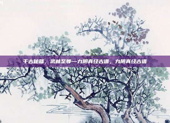 千古秘籍,武林至尊—九阴真经古谱,九阴真经古谱