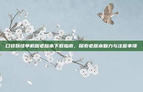口袋妖怪单机版老版本下载指南,探索老版本魅力与注意事项