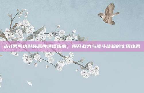 dnf男气功时装属性选择指南,提升战力与战斗体验的实用攻略