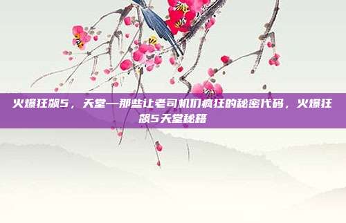 火爆狂飙5,天堂—那些让老司机们疯狂的秘密代码,火爆狂飙5天堂秘籍