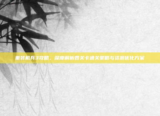 重装机兵3攻略，深度解析各关卡通关策略与资源优化方案