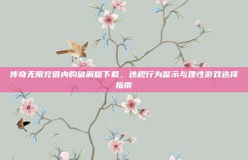 传奇无限充值内购破解版下载，违规行为警示与理性游戏选择指南
