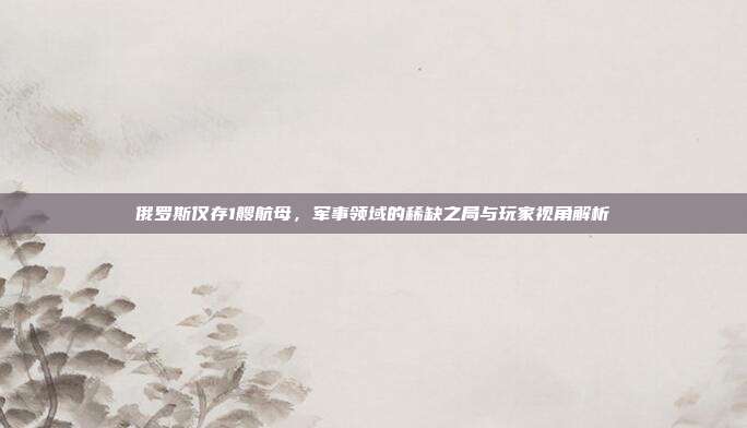 俄罗斯仅存1艘航母,军事领域的稀缺之局与玩家视角解析