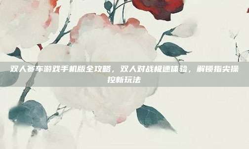 双人赛车游戏手机版全攻略,双人对战极速体验,解锁指尖操控新玩法