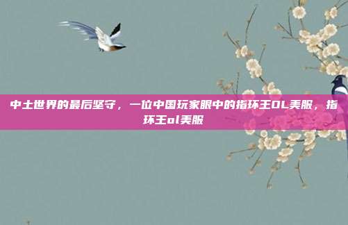中土世界的最后坚守,一位中国玩家眼中的指环王OL美服,指环王ol美服