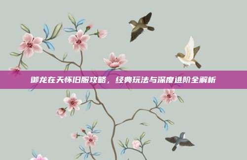 御龙在天怀旧服攻略，经典玩法与深度进阶全解析