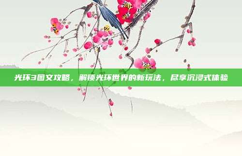 光环3图文攻略,解锁光环世界的新玩法,尽享沉浸式体验