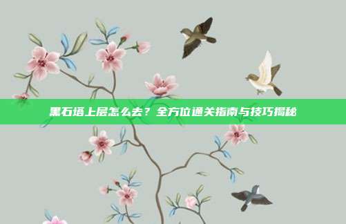黑石塔上层怎么去?全方位通关指南与技巧揭秘