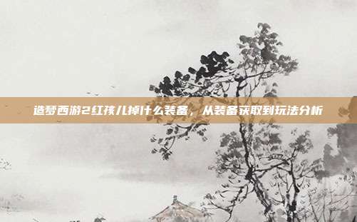 造梦西游2红孩儿掉什么装备，从装备获取到玩法分析