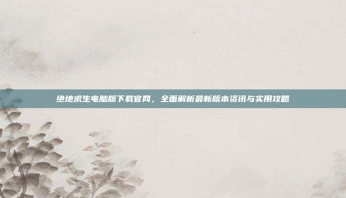 绝地求生电脑版下载官网，全面解析最新版本资讯与实用攻略