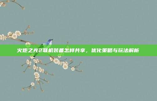 火炬之光2联机装备怎样共享,优化策略与玩法解析