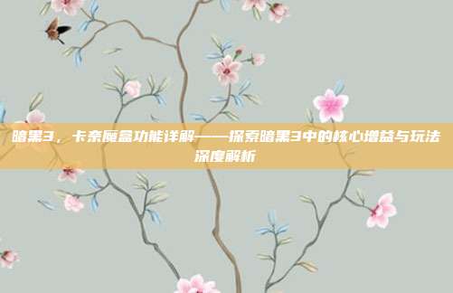 暗黑3，卡奈魔盒功能详解——探索暗黑3中的核心增益与玩法深度解析
