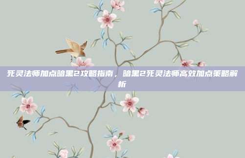 死灵法师加点暗黑2攻略指南，暗黑2死灵法师高效加点策略解析