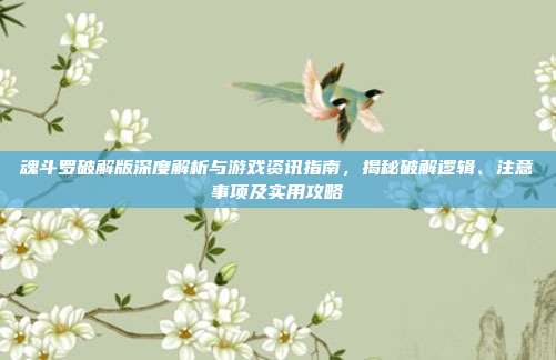 魂斗罗破解版深度解析与游戏资讯指南,揭秘破解逻辑、注意事项及实用攻略