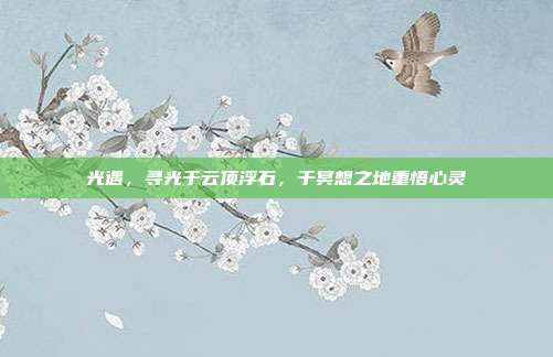 光遇,寻光于云顶浮石,于冥想之地重悟心灵