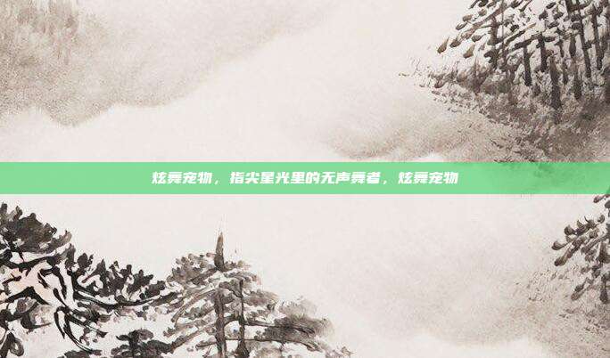炫舞宠物，指尖星光里的无声舞者，炫舞宠物