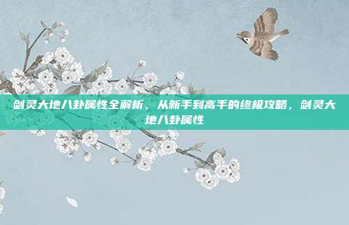 剑灵大地八卦属性全解析,从新手到高手的终极攻略,剑灵大地八卦属性