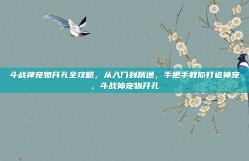 斗战神宠物开孔全攻略,从入门到精通,手把手教你打造神宠,斗战神宠物开孔