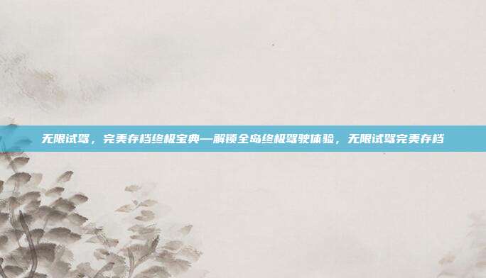 无限试驾,完美存档终极宝典—解锁全岛终极驾驶体验,无限试驾完美存档