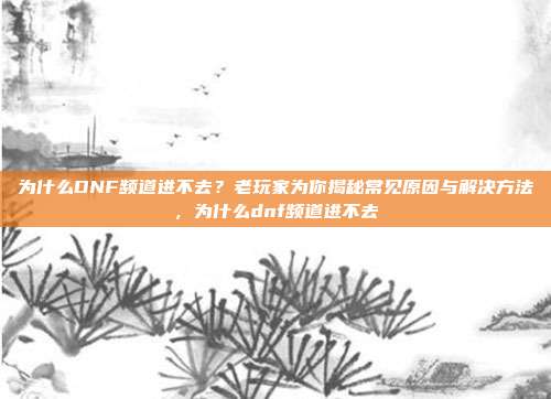 为什么DNF频道进不去?老玩家为你揭秘常见原因与解决方法,为什么dnf频道进不去