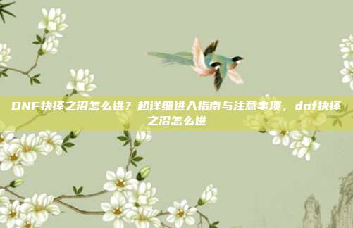 DNF抉择之沼怎么进？超详细进入指南与注意事项，dnf抉择之沼怎么进