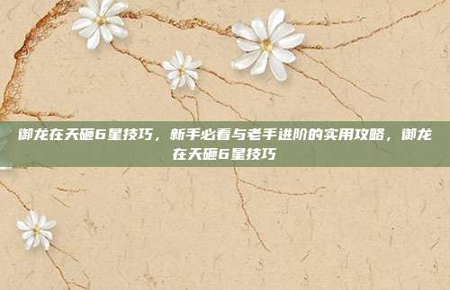 御龙在天砸6星技巧，新手必看与老手进阶的实用攻略，御龙在天砸6星技巧