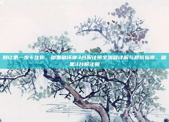 别让第一步卡住你,暗黑破坏神3台服注册全流程详解与避坑指南,暗黑3台服注册