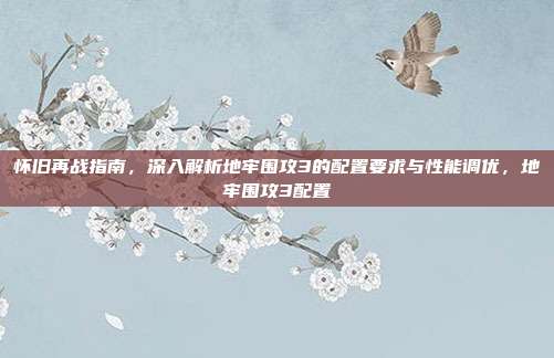 怀旧再战指南,深入解析地牢围攻3的配置要求与性能调优,地牢围攻3配置
