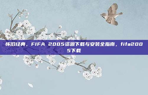 怀旧经典，FIFA 2005资源下载与安装全指南，fifa2005下载