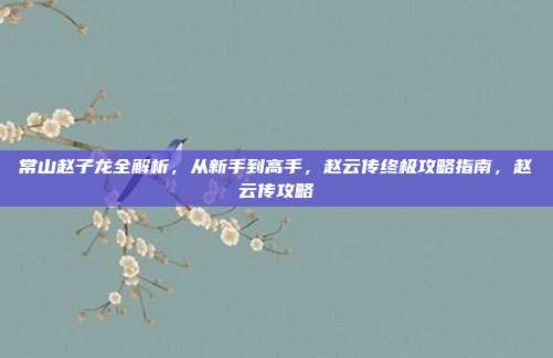 常山赵子龙全解析,从新手到高手,赵云传终极攻略指南,赵云传攻略