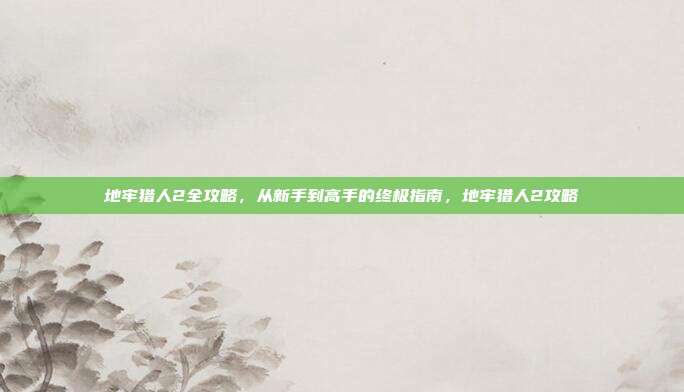 地牢猎人2全攻略，从新手到高手的终极指南，地牢猎人2攻略
