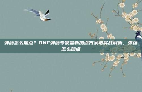弹药怎么加点?DNF弹药专家最新加点方案与实战解析,弹药怎么加点