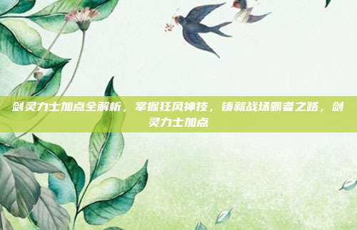 剑灵力士加点全解析，掌握狂风神技，铸就战场霸者之路，剑灵力士加点