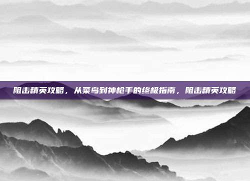 阻击精英攻略,从菜鸟到神枪手的终极指南,阻击精英攻略