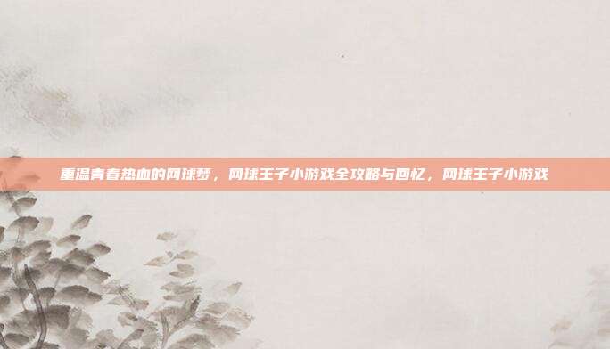 重温青春热血的网球梦，网球王子小游戏全攻略与回忆，网球王子小游戏
