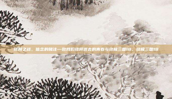 终局之战，信念的赌注—致我们终将逝去的青春与终极三国18，终极三国18