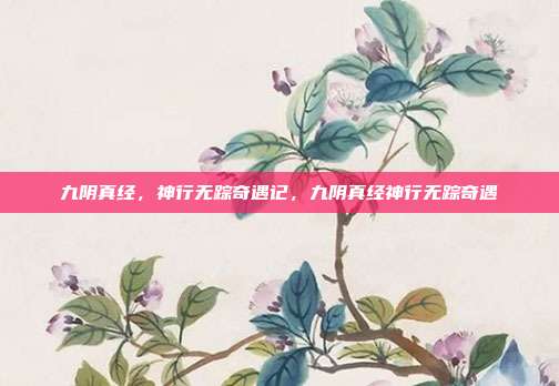 九阴真经，神行无踪奇遇记，九阴真经神行无踪奇遇