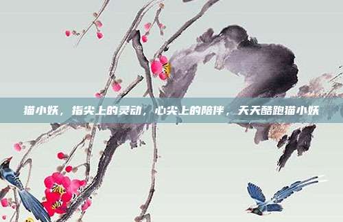 猫小妖，指尖上的灵动，心尖上的陪伴，天天酷跑猫小妖