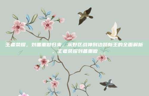 王者荣耀，刘备重做归来，从野区战神到边路新王的全面解析，王者荣耀刘备重做