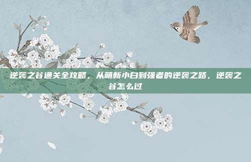 逆袭之谷通关全攻略，从萌新小白到强者的逆袭之路，逆袭之谷怎么过