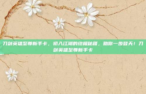 刀剑英雄至尊新手卡，初入江湖的终极秘籍，助你一步登天！刀剑英雄至尊新手卡