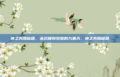 神之苏醒秘籍，从沉睡到觉醒的九重天，神之苏醒秘籍